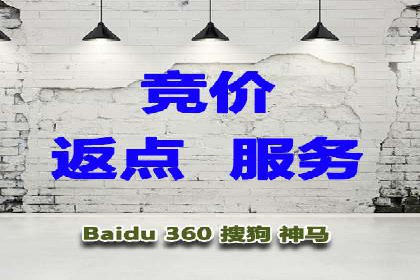 行业领先企业的sem竞价策略：成功案例剖析