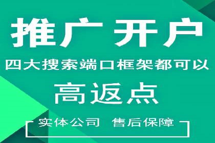 竞价排名与自然排名的对比案例